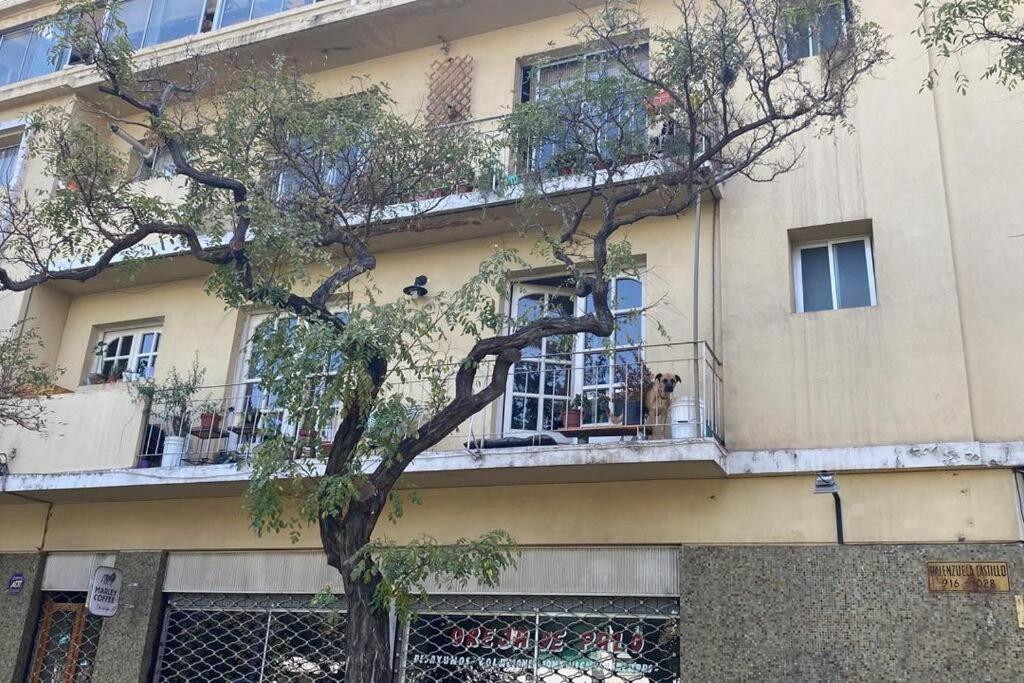 Apartamento Hermoso Dpto En Tranquilo Barrio